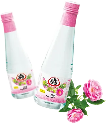 گلاب یک و یک